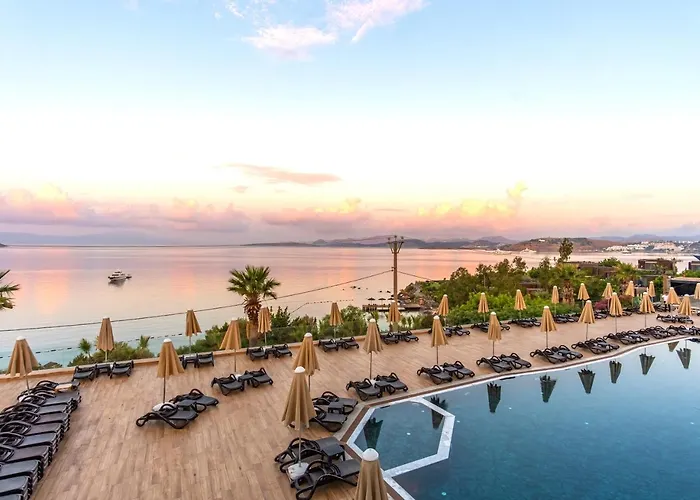 Forever Club - Sadece Yetiskin Bodrum